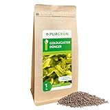 Purgrün® Goldliguster-Dünger | Organisch-mineralische Rezeptur | Feinkörniges Krümelgranulat | NPK 5+4+6 | Extra Magnesium für leuchtende Blattfärbung | Verbessert die Bodenqualität | 1 kg