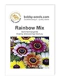 Blumensamen Rainbow Mix Sommermargerite Portion