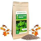 Purgrün® Kugelahorn-Dünger | Organisch-mineralische Rezeptur | Feinkörniges Krümelgranulat | NPK 5+4+6 | Extra Magnesium für eine leuchtende Blattfärbung | Verbessert die Bodenqualität | 1 kg