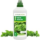 Purgrün® Bio-Minze-Dünger | Organische Rezeptur | Premium-Flüssigdünger | NPK 4+1+7 | Mit Algenextrakt & Vinasse | Extra Kalium für ein intensives Aroma | Ohne tierische Inhaltsstoffe | 1 Liter