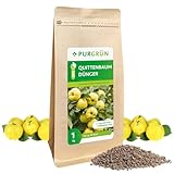 Purgrün® Bio-Quittenbaum-Dünger | Organisch-mineralische Rezeptur | Feinkörniges Krümelgranulat | NPK 6+3+8 | Mit Magnesium für aromatische Früchte | Verbessert die Bodenqualität | 1 kg