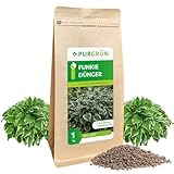 Purgrün® Funkie-Dünger | Organisch-mineralische Rezeptur | Feinkörniges Krümelgranulat | NPK 5+4+6 | Extra Magnesium für zarte Blüten | Verbessert die Bodenqualität | Für gesunde Funkien | 1 kg