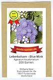 Leberbalsam - Ageratum houstonianum - Blue Mink - 200 Samen