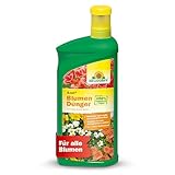 Neudorff Azet BlumenDünger - 100% natürlicher Weihnachtsstern Dünger für üppig blühende Blumen im Garten, Zimmer oder auf dem Balkon, 1 Liter