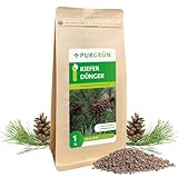 Purgrün® Kiefer-Dünger | Organisch-mineralische Rezeptur | Feinkörniges Krümelgranulat | NPK 5+4+6 | Extra Magnesium für leuchtend grüne Kiefernnadeln | Verbessert die Bodenqualität | 1 kg