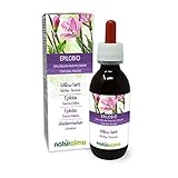 Weidenröschen (Epilobium parviflorum) Kraut Alkoholfreier Urtinktur Naturalma - Flüssig-Extrakt Tropfen 120 ml - Nahrungsergänzungsmittel - Veganer