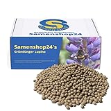 Dünge-Lupinen blau 2,5kg Gründünger Bodenkur Zwischenfrucht Samenshop24®