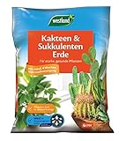 Westland Kakteen & Sukkulenten Erde, 4 l – Kakteenerde für gesunde Pflanzen, Erde mit Tongranulat zur optimalen Wasser- und Nährstoffverteilung