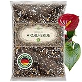 Oragarden Aroid Mix Erde für Zimmerpflanzen und Garten - 3L Aroiden Substrat für Pflanzen, Palmen, Blumen - 5 Komponenten Blumenerde