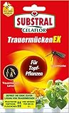 Substral Celaflor TrauermückenEX - Gegen Larven der Trauermücke und andere Schädlinge und Schadinsekten, 4 x 7,5 ml, Grün