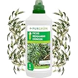 Purgrün® Ficus-Benjamini-Dünger | Stickstoff und Guano für gesundes Wachstum | Spurennährstoffe für eine lebendige Blattfärbung | Ergiebiges Konzentrat für ca 400 Liter Gießwasser | 1 Liter