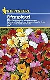 Kiepenkerl Elfenspiegelsamen Märchenzauber 817 für 75 Pflanzen - Farbenprächtige Beet- und Gruppenpflanze, Einjährige Gartenblumen, Blüten in Weiß, Orange, Rot, Gelb