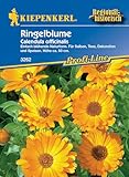 Ringelblumen Heilkraut Calendula officinalis für Tee- und Salbenzubereitung