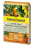 Floragard Zitrus-und Mediterranpflanzenerde 10 Liter, extra Eisen-Dünger für mediterrane Kulturen