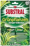 Substral Dünger-Stäbchen für Grünpflanzen mit Eisen-Plus und 2 Monate Langzeitwirkung, 60 Stück, green