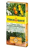 Floragard Zitrus-und Mediterranpflanzenerde 40 Liter - Zitruspflanzenerde - Kübelpflanzenerde mit Premium-Dünger und extra Eisen-Dünger für mediterrane Kulturen