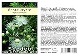 Seedeo Echte Myrte (Myrtus communis) 30 Samen