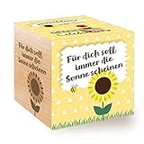 Celebrations Ecocube, Sonnenblume Bio Samen, Holzwürfel Mit Lasergravur «Für Dich Soll Immer Die Sonne Scheinen», Nachhaltige Geschenkidee, Anzuchtset, Made in Austria, Green