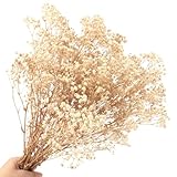 40cm Schleierkraut getrocknet 70g 2000+Natürlich Gypsophila Trockenblumen Blütenknospe Echt Trockenblumenstrauß für Hochzeit Brautsträuße Vasen Pampasgras Deko(White)