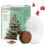 GROW2GO Dein eigener Weihnachtsbaum zum selber Pflanzen - Starter Kit Anzuchtset aus Mini-Gewächshaus, Nordmanntanne Samen & Erde