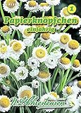 N.L. Chrestensen 581225 Papierknöpfchen (Papierknöpfchensamen)